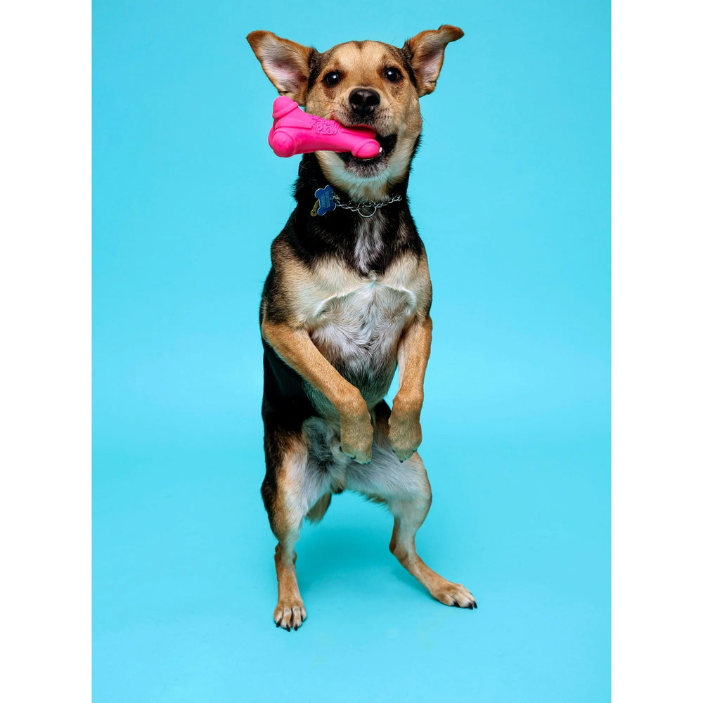 
                  
                    Hartz Dura Play Bone Dog Toy, Medium, Color Will Vary
                  
                