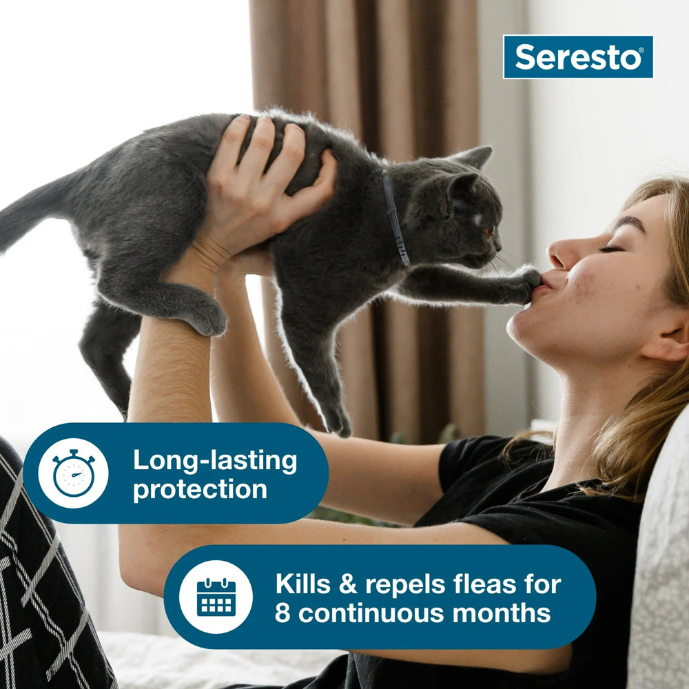 
                  
                    Seresto Vet-Recommended 8-Month Flea & Tick Prevention Collar for Cats
                  
                