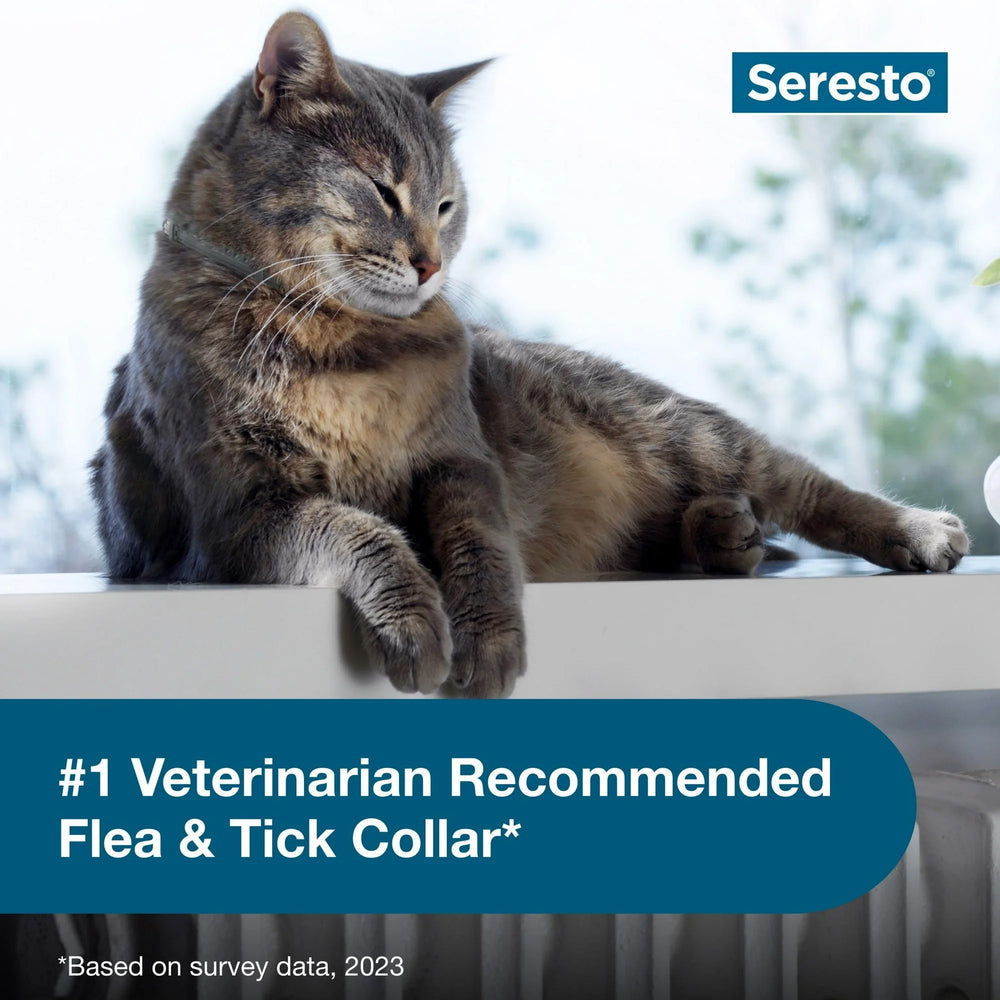 Seresto Vet-Recommended 8-Month Flea & Tick Prevention Collar for Cats