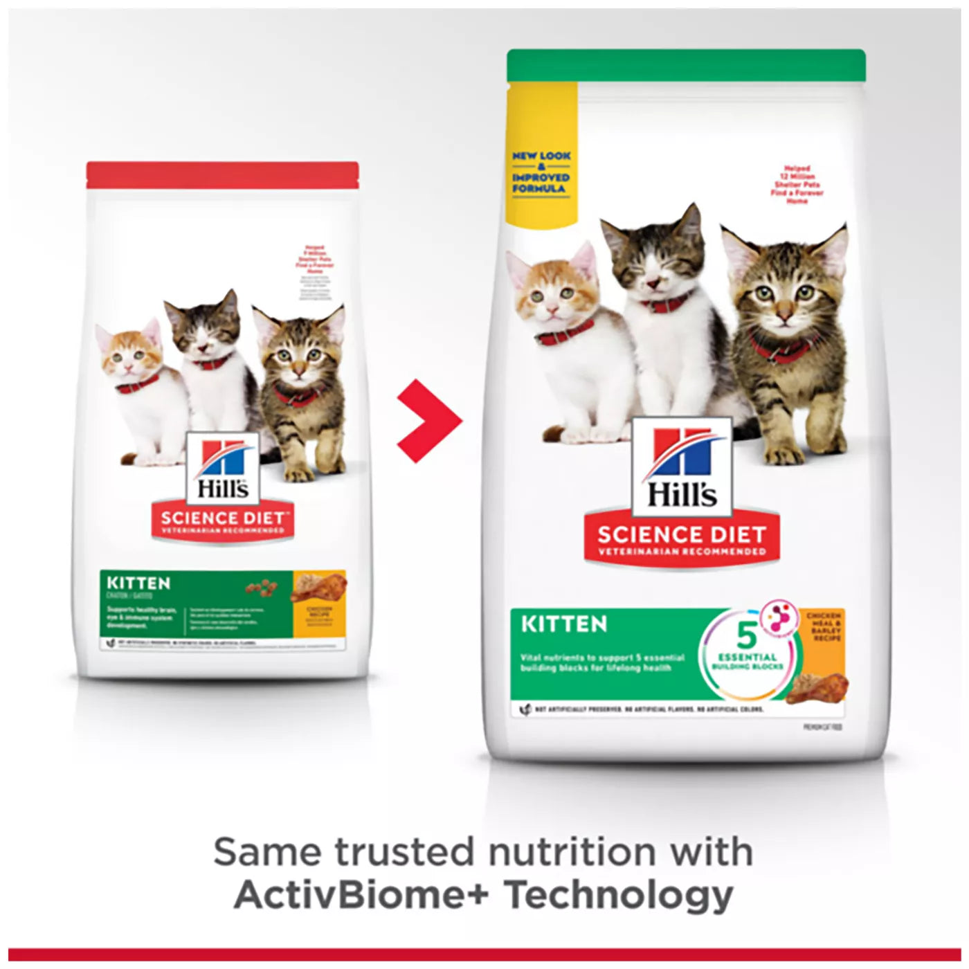 Hill's® Science Diet® Kitten Dry Cat Food - Chicken