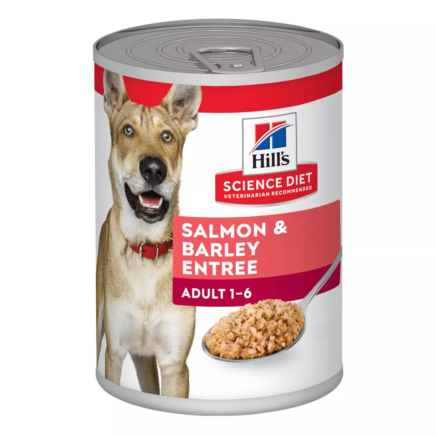 Hill's Science Diet Adult Dog Wet Food - Salmon & Barley Entree, 13 oz