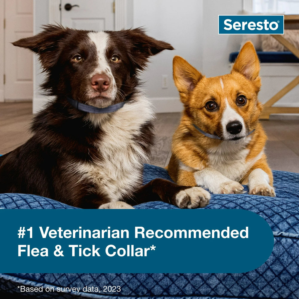 
                  
                    Seresto Vet-Recommended 8-Month Flea & Tick Prevention Collar for Small Dogs under 18 lbs
                  
                