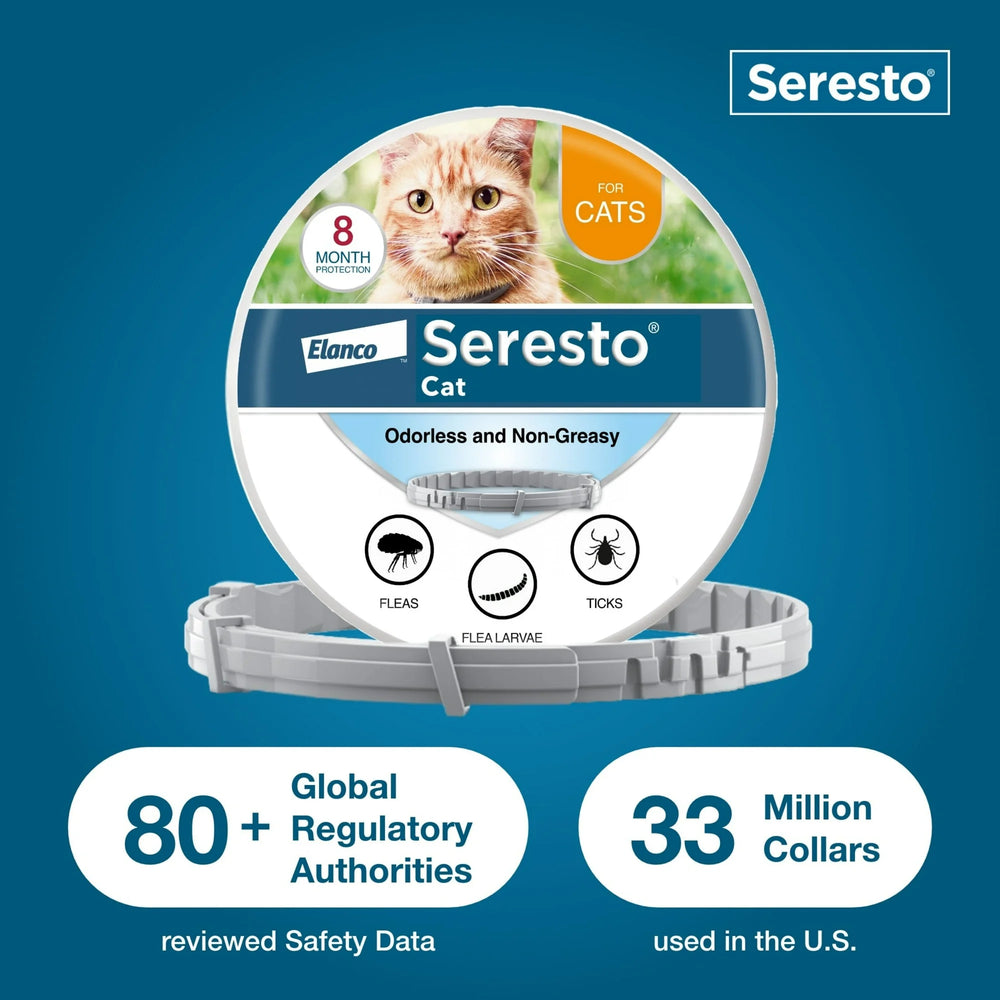 
                  
                    Seresto Vet-Recommended 8-Month Flea & Tick Prevention Collar for Cats
                  
                