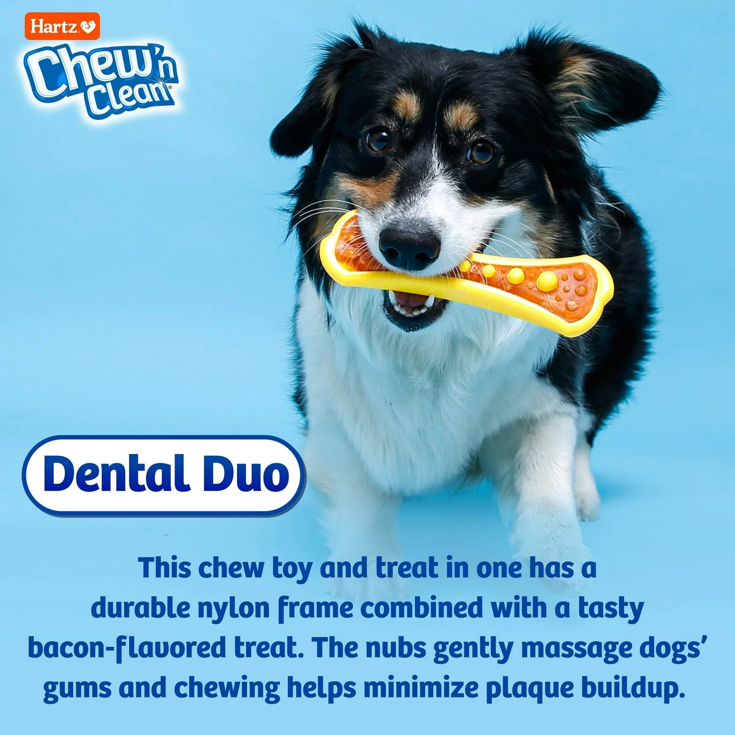 Hartz Chew 'n Clean Dental Duo Dog Toy, Medium, Color May Vary