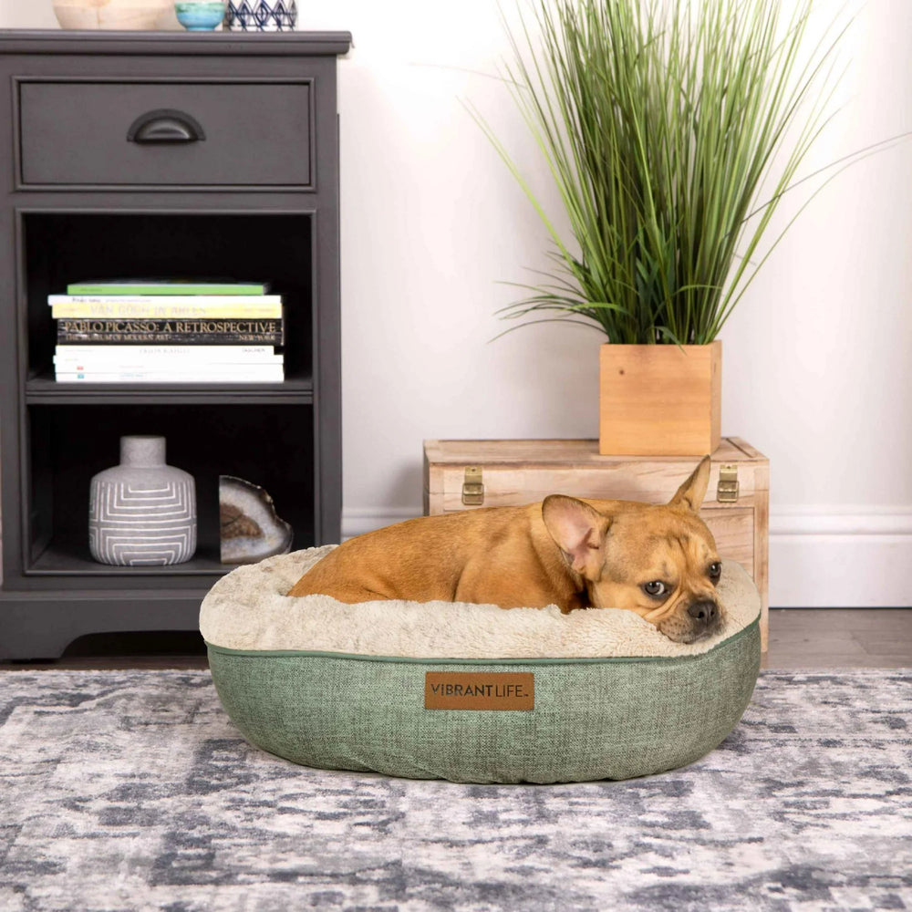 Vibrant Life Round Dreamer Mattress Edition Dog Bed, Small, 22"x22", up to 35lbs